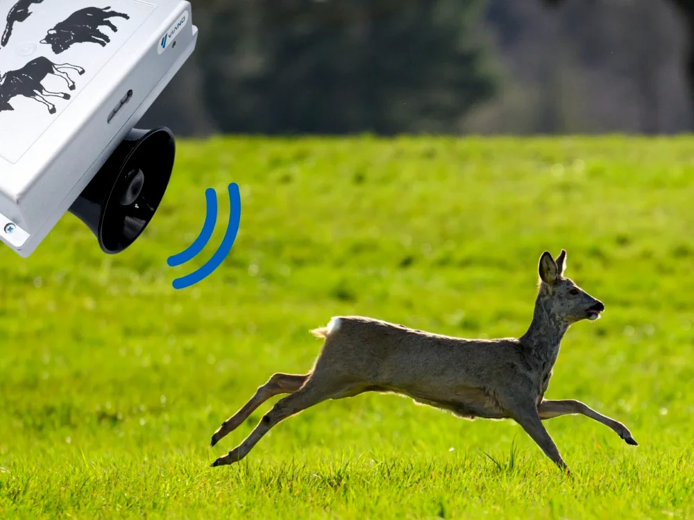 Sarna uciekająca dzięki odstraszaczowi